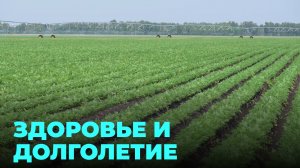 Как улучшить и продлить жизнь с помощью новых технологий?