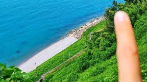 БАТУМСКИЙ БОТАНИЧЕСКИЙ САД 2022. РАЙСКОЕ МЕСТО В БАТУМИ | Обзор, цены, интересные факты