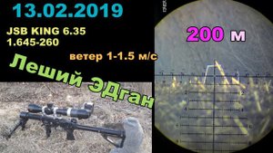 Кучность на 200 метров из пневматики. Leshiy EDgun.