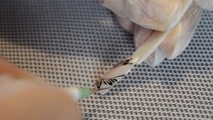 Дизайн Ногтей Вуаль.Колготки.Designs Nails