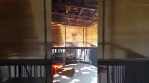 Гостевой дом Архыз Сити на Софийской поляне