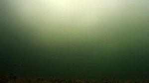 Прелести зимней рыбалки