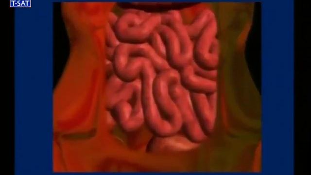 SCERT (TTP) || విజ్ఞానశాస్త్రం బోధన పద్దతులు || LIVE Session With A. Ravinder смотреть онлайн