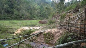 Survival instinct 30 Days Alone Forest Life - Wild Bushcraft Build a House Digging The Foundation