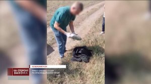 В Краснодарском крае задержали двух мужчин за сбор и хранение конопли