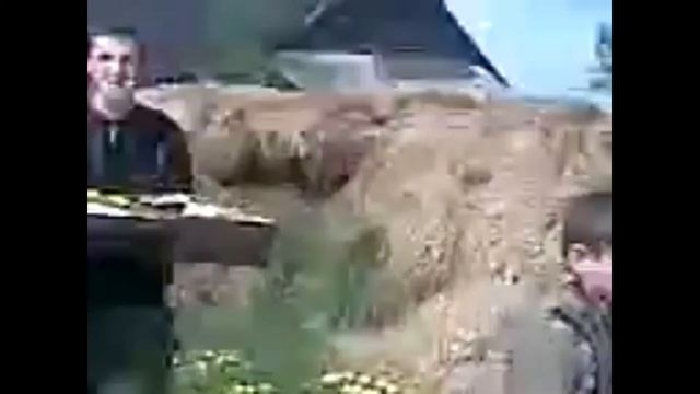 Powerwolf-Похороны кота смотреть онлайн