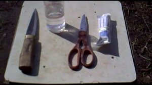 Как кастрировать козлят