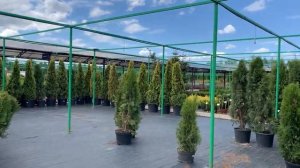 ОБЗОР ПИТОМНИКА БИОСФЕРА. КАЗАНЬ.