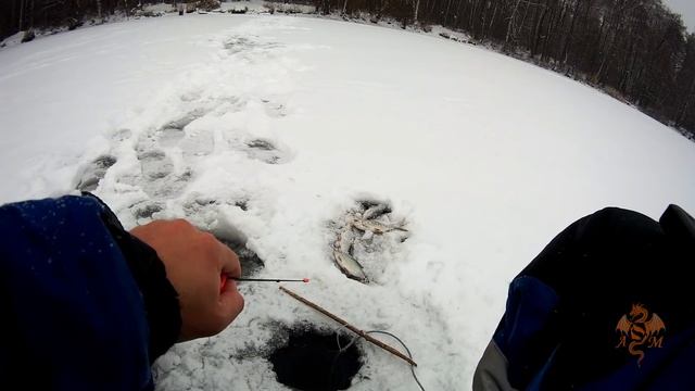 Ловля плотвы на мормышку со льда, с эхолотом Практик 7 RF универсал.