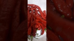 ЧИМ ЧИ на Зиму