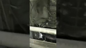 Газель-загорелась аварийная лампочка давление масла. Итог смотрите видео .