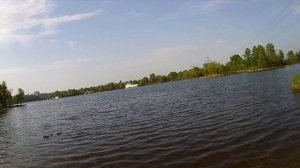 Окунь. Ловля окуней в черте города. YM fishing