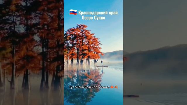 #КудаСъездить : Озеро Сукко 🍁🍂Друзья, это кипарисовое озеро красиво в любое время года 🙌Были там? 🙂