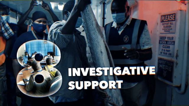 10 Years of INTERPOL's Environmental Security Programme