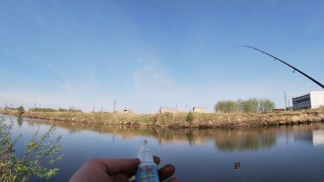 Фидер-Короткий выезд-ТЭЦ 2 Северодвинск смотреть онлайн