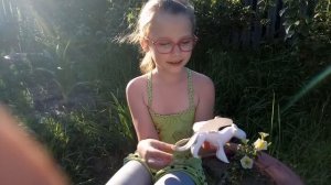 Знакомимся с драконами: Дневная Фурия из мультика "Как приручить дракона"!