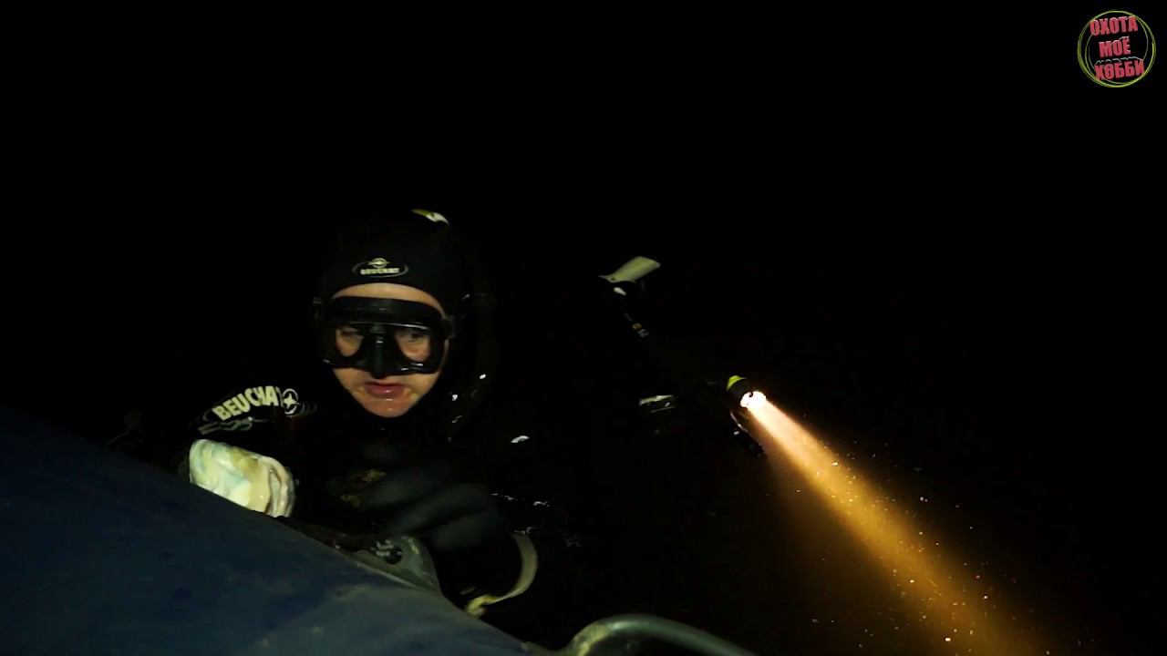 Страх и только. Добыл трофейного головля. смотреть онлайн