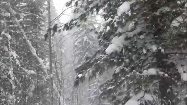 Зимний пейзаж смотреть онлайн