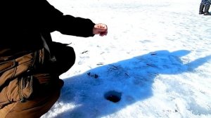 Это вам не Обь,не Енисей,ни Лена,а Река Хопёр.Зимняя рыбалка