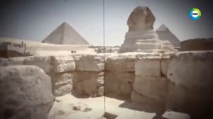 Пророк сулейман.