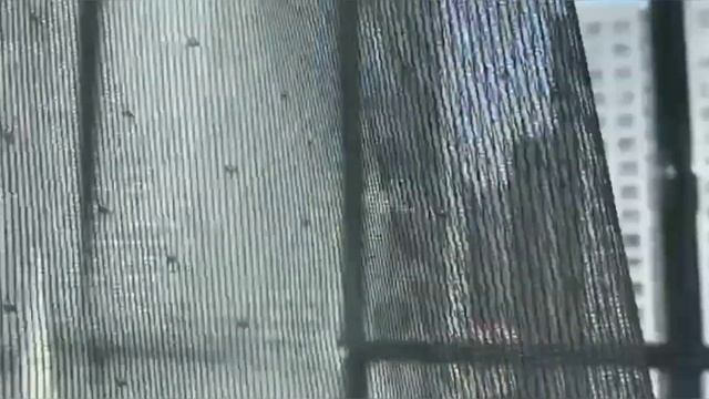 1-комнатная квартира: Ленинградская область, Всеволожский р-н, г. Кудрово, Столичная ул., 6 (аренда смотреть онлайн