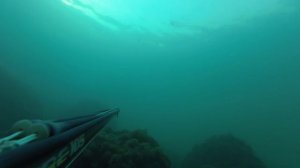 Подводная охота в Черном море. Лучший день отпуска под водой. Spearfishing in Black Sea