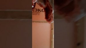 Мясо вьетнамский свиней