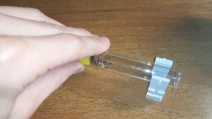 Lasius niger с нуля #5 Конец зимовки и интересная приблуда.