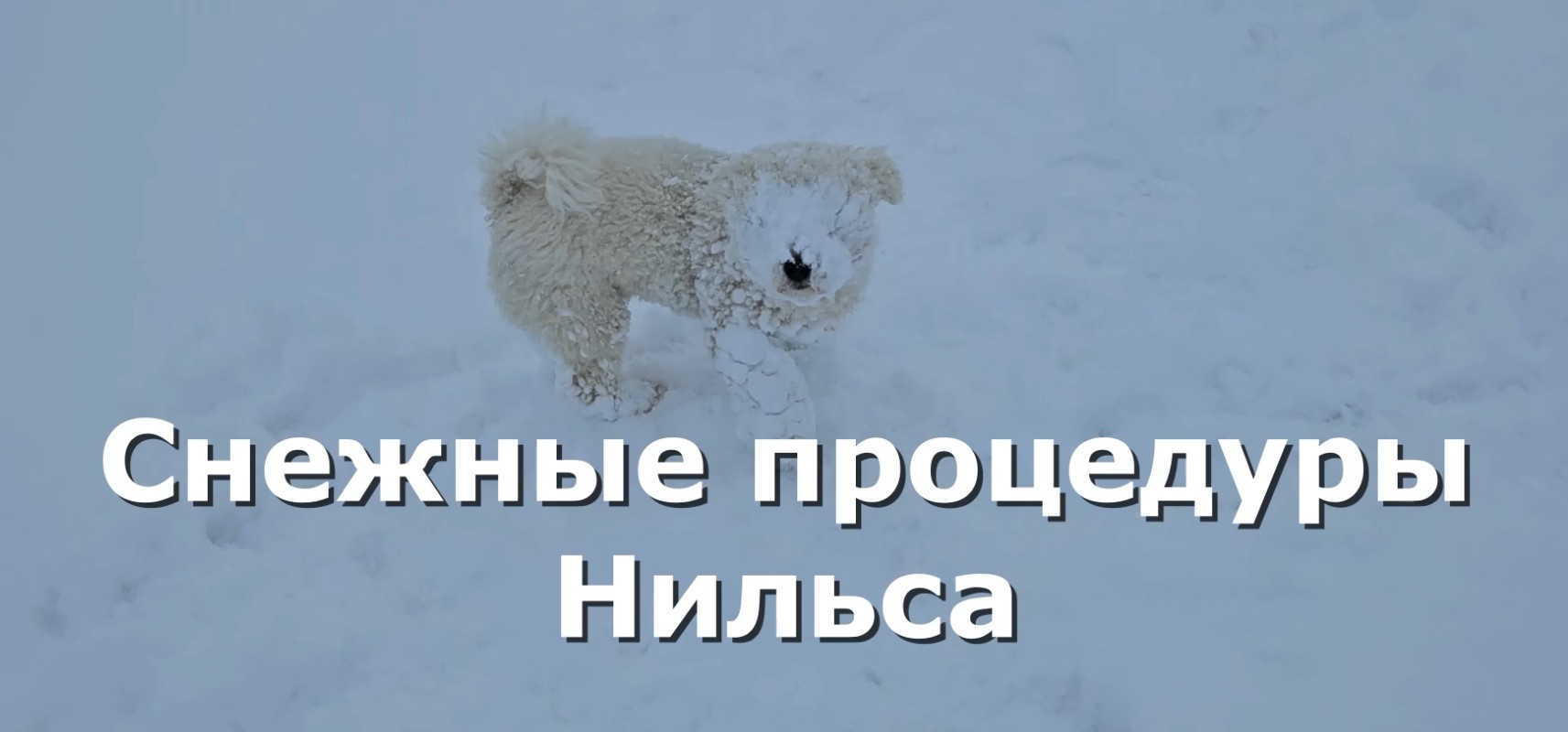 Снежные процедуры Нильса