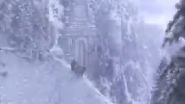 Тень Ястреба смотреть онлайн