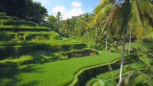 Расслабляющая музыка для снятия стресса #10