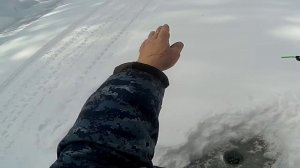 Одиночная рыбалка на Урагане \ День 2 й  Хариус