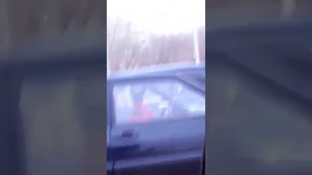 Собака усталаждака! Собаке надоело сидеть в машине и она гудит! смотреть онлайн