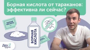 Борная кислота от тараканов: помогает ли? Эффективное средство для травли и уничтожения