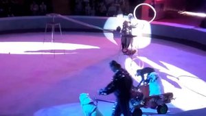 ПАРАД АЛЛЕ !!! ЦИРКОВОЕ ПРЕДСТАВЛЕНИЕ 2019.