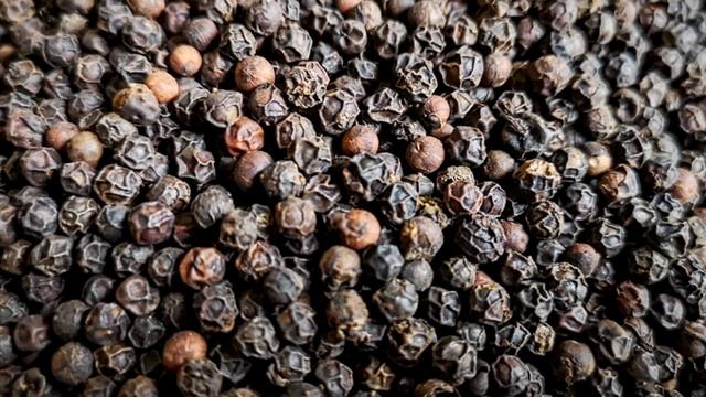 Перец черный. Где и как растет черный перец?