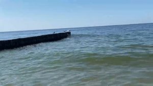 Наш Калининград. Зеленоградск, Балтийское море, Куршская коса, Фридрихсбургские Ворота