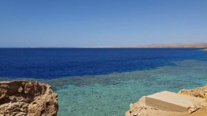 НЮАНСЫ ЖИЗНИ РУССКОЯЗЫЧНЫХ В ШАРМ ЭЛЬ ШЕЙХЕ, НАШ КОМПАУНД, ШАРМ ЭЛЬ ШЕЙХ 2020