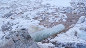 КУПИЛ 2 ДОМА В ДЕРЕВНЕ _ ТАКОЙ ЗАИМКУ ВЫ ЕЩЁ НЕ ВИДЕЛИ _ РАЗМЕРЫ НАШЕГО ОГОРОДА _ ЛЕДОХОД