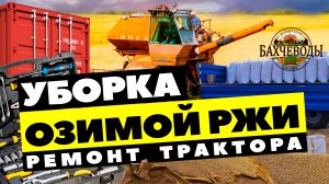Уборка Ржи ???