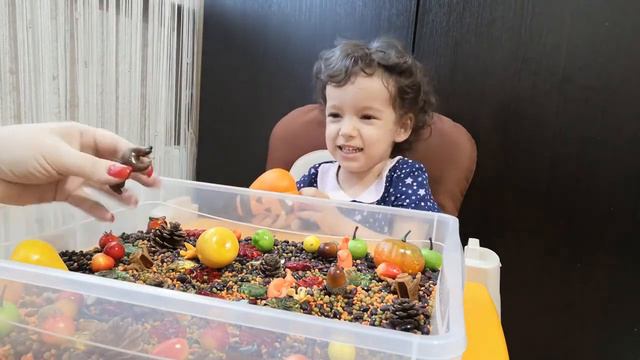 Осенний лес. Сенсорная коробочка. Учим английский