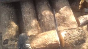 Бензопила Дружба-4 в деле