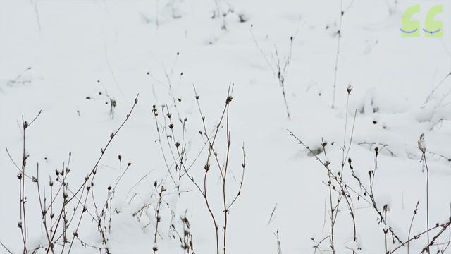 БЕЛӘСЕМ КИЛӘ: кыш / Зима / Winter смотреть онлайн