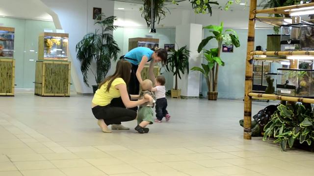 9 міні зоопарк смотреть онлайн