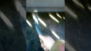 Пары бензина-вместо бензина!?