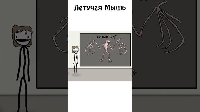 А вы знали какой скелет у летучей мыши #samonella #сэмонелла #животные #шортс #shorts