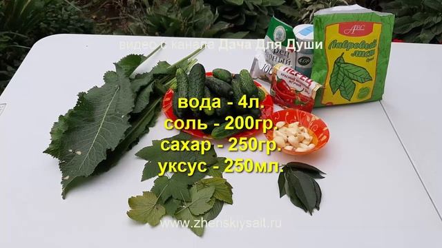 Маринуем острые СУПЕР-ОГУРЧИКИ!