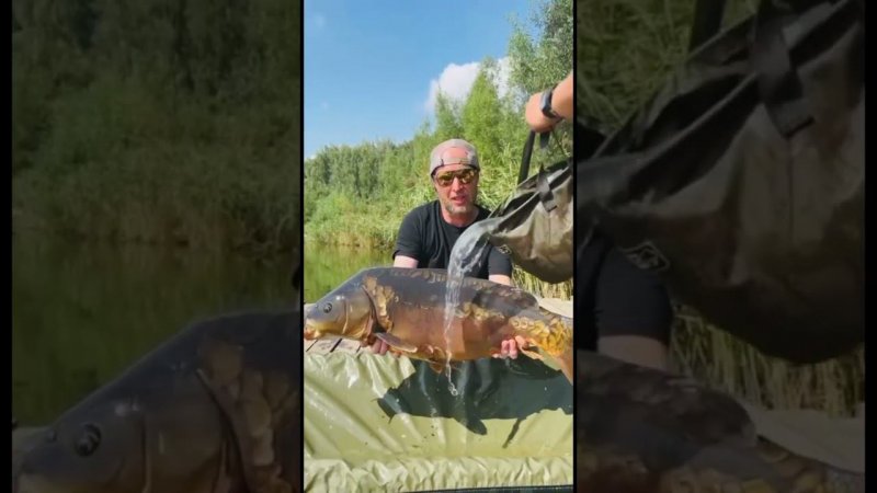 ТОП 5 правил бережного обращения с рыбой в жаркую погоду! #рыбалка #shorts #carpfishing