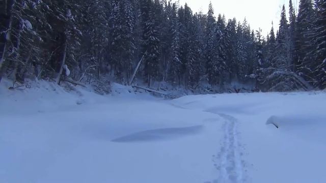Выживание в тайге. Только таежный опыт даст Вам выжить в тайге. смотреть онлайн