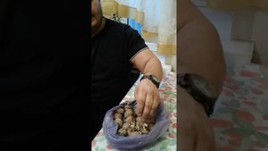 Дмитрий Халаджи.Раскалывание орехов пальцами